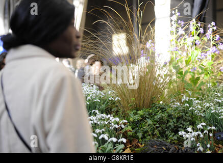 Visitors attend the RHS London Early Spring Plant Fair at the RHS Horticultural Halls in central London. Stock Photo