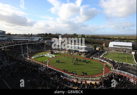 Festival Trials Day - Cheltenham Races. A general view of the parade ring during Festival Trials Day at Cheltenham Racecourse. Stock Photo