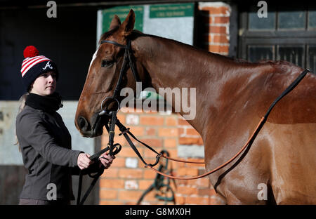 Paul Nicholls Stable Visit - Manor Farm Stables Stock Photo