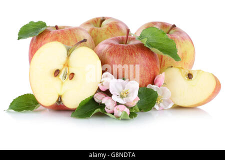 Apples apple fruit fruits slice sliced half isolated on a white background Stock Photo