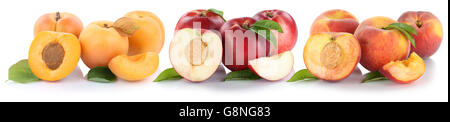 Peach nectarine apricot peaches nectarines slice half fruit fresh fruits isolated on a white background Stock Photo