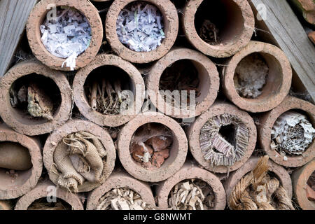 Insect hotel offering nest places in clay pipes Stock Photo