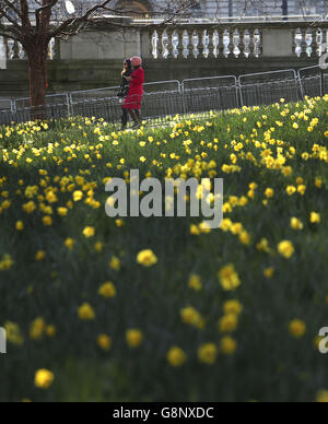 People walk past daffodils in St James's park in London, as up to 4 inches of snow fell in parts of the UK as March continues to feel more like winter than spring. Stock Photo