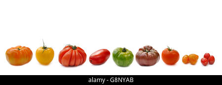 collection of tomatoes aligned and isolated on white background Stock Photo