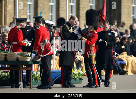 The Duke of Cambridge (centre) prepares to present sprigs of shamrock to the Irish Guards as he visits Cavalry Barracks in Hounslow, west London, for the regiment's St Patrick's Day Parade. Stock Photo