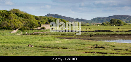 Ireland, Co Sligo, Strandhill, farmland beside Ballysadare Bay towards Knockalongy Stock Photo