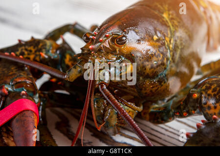 Raw lobster's head. Stock Photo