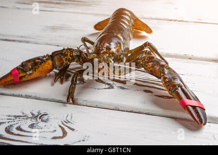 Raw lobster on wooden background. Stock Photo