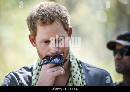 Prince Harry looks at photos of himself and of tigers on a laptop as he visits a tiger camera trap at the Bardia National Park, Nepal, which photographs anything that moves passed it. Stock Photo