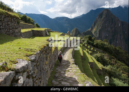 A lone hiker walking the path from the Sun Gate downhill towards the Inca site of Machu Picchu, Peru in late afternoon sunlight Stock Photo