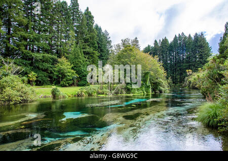 Hamurana Springs is the deepest natural fresh water spring on the North Island of New Zealand. Stock Photo