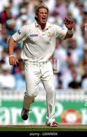 Cricket - The Ashes - npower Fifth Test - England v Australia - The Brit Oval. Shane Warne, Australia Stock Photo