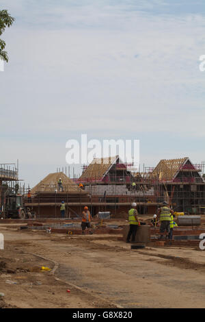 New house building on a green field site. Stalham. Norfolk. East Anglia. England. UK . Stock Photo