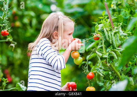 Adorable little girl smelling cucumbers and tomatoes in greenhouse. Season of ripening vegetables in green houses. Stock Photo