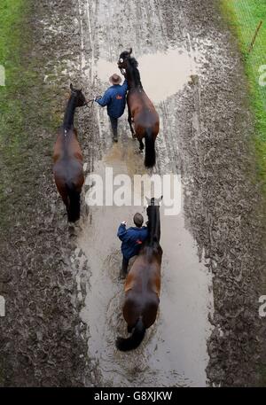 Horses are lead back from the showground after exercising during the first day of the Royal Windsor Horse Show at Windsor Castle in Berkshire, as torrential rain has resulted in the cancellation of one of the main celebrations marking the Queen's 90th birthday. Stock Photo