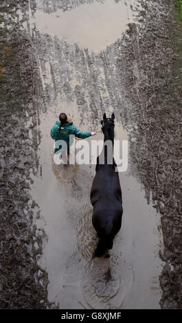 A horse is lead back from the showground after exercising during the first day of the Royal Windsor Horse Show at Windsor Castle in Berkshire, as torrential rain has resulted in the cancellation of one of the main celebrations marking the Queen's 90th birthday. Stock Photo