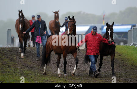 Horses are lead back from the showground after exercising during the first day of the Royal Windsor Horse Show at Windsor Castle in Berkshire, as torrential rain has resulted in the cancellation of one of the main celebrations marking the Queen's 90th birthday. Stock Photo