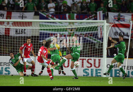 Northern Ireland's Billy Hamilton celebrates scoring one of his two goals  in the game Stock Photo - Alamy