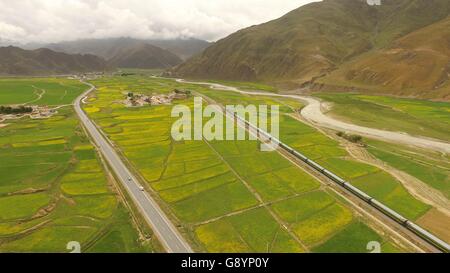 (160630) -- LHASA, June 30, 2016 (Xinhua) -- File photo taken on June 20, 2016 shows the Qinghai-Tibet railway and highway, southwest China's Tibet Autonomous Region. The Qinghai-Tibet Railway turns 10 on July 1, 2016. The 1,956-kilometer-long railway, which began service in July 2006, is the world's highest and longest plateau railroad and also the first railway connecting the Tibet Autonomous Region with other parts of China. Ecological protection measures taken during and after the construction of the railway have ensured it was built as 'a green railway'. Noting that environmental pollutio