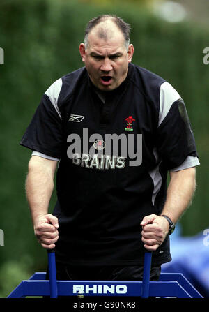 RUGBYU Wales Stock Photo