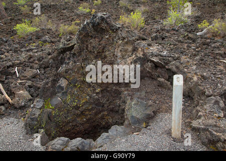 Lava cast along Lava Cast Forest Trail, Newberry National Volcanic Monument, Oregon Stock Photo