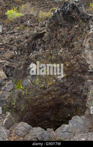 Lava cast along Lava Cast Forest Trail, Newberry National Volcanic Monument, Oregon Stock Photo