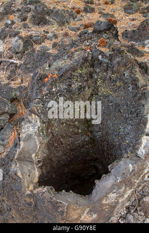 Lava cast along Lava Cast Forest Trail, Newberry National Volcanic Monument, Oregon Stock Photo