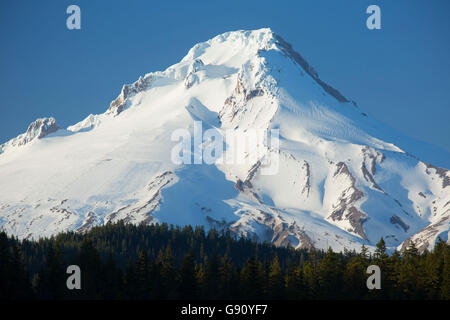Mt Hood from Frog Lake, Mt Hood National Forest, Oregon Stock Photo