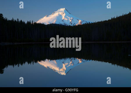 Mt Hood with reflection from Frog Lake, Mt Hood National Forest, Oregon Stock Photo