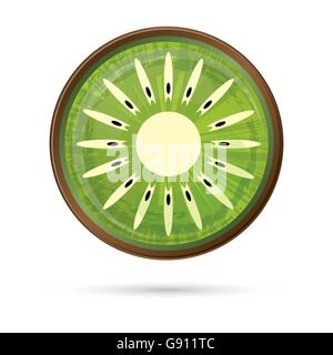 Kiwi Icon Isolated on White. Vector Illustration. Green Kiwi with Shadow Stock Vector