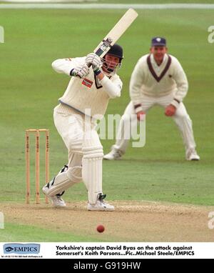 Cricket - Britannic Assurance Championship - Yorkshire v Somerset. Yorkshire's captain David Byas on the attack against Somerset's Keith Parsons Stock Photo