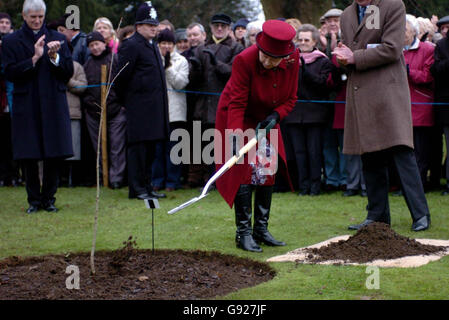 Britains Queen Elizabeth II plants an Oak tree in the grounds of her Sandringham Estate as part of a fund raising initiative with Norwich Cathedral, after attending the Sunday service at St Mary Magdalene Church on the Estate, Sunday January 1 2006. PRESS ASSOCIATION PHOTO Photo credit should read Chris Radburn/Rota/PA Stock Photo