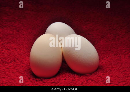 Three White Eggs On Red Fabric Stock Photo