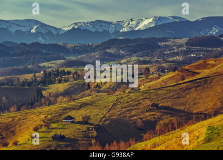 Rural scenery with traditional Romanian houses in Magura village ...