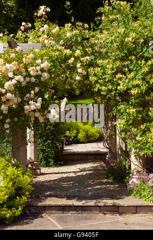 Rose Arch by Garden Steps Stock Photo Alamy