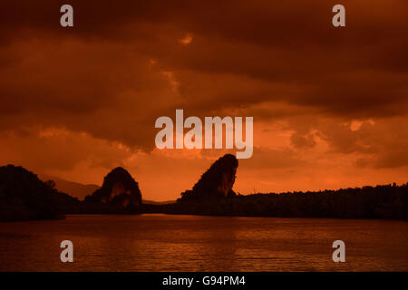 The mangroves at a lagoon near the City of Krabi on the Andaman Sea in the south of Thailand. Stock Photo