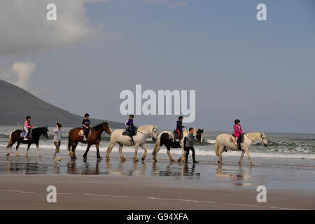 Riders at beach, Rossbeigh Beach, Rossbeigh, near Glenbeigh, Iveragh Peninsula, County Kerry, Ireland / Rossbehy Stock Photo