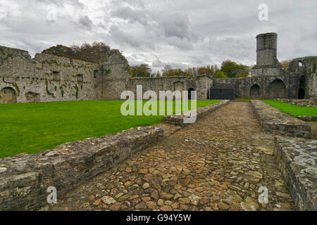 Boyle Abbey, Boyle, County Roscommon, Ireland / Cistercian Abbey Stock Photo