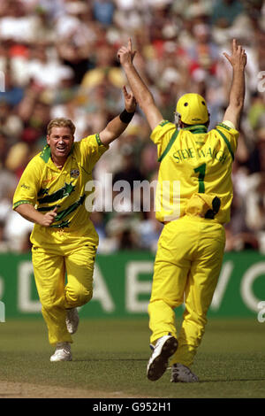 Cricket - ICC World Cup - Semi Final - Southh Africa vs Australia Stock Photo