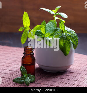 Mint essential oil  in brown bottle and fresh herbs in ceramic pot, selective focus Stock Photo