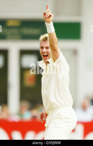 Cricket - Tour Match - Leicestershire v Australia - Grace Road. Brett Lee, Auustralia Stock Photo