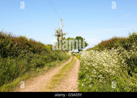Dirt Track Through British Countryside Stock Photo