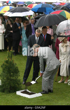 The Prince of Wales plants a tree during a garden party at Hillsborough Castle during today's visit to Northern Ireland with the Duchess of Cornwall. Stock Photo