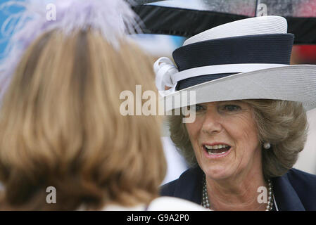 The Duchess of Cornwall talks to guests at a garden party at Hillsborough Castle during today's visit to Northern Ireland with the Prince of Wales. Stock Photo