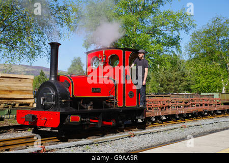 Elidir, Narrow Gauge Steam Locomotive, Llanberis Lake Railway Stock Photo