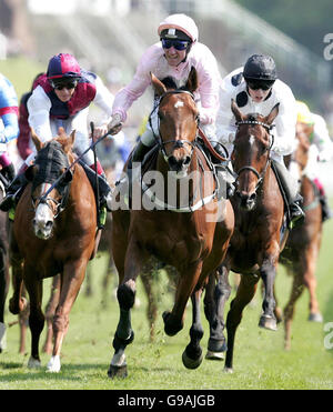 RACING Chester Stock Photo