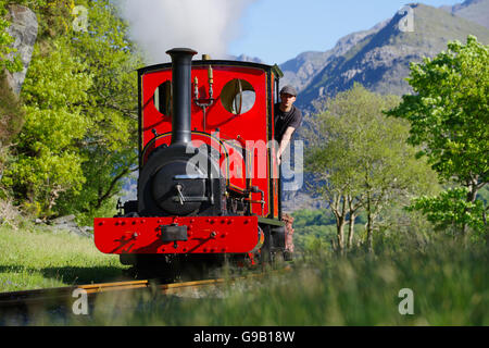 Elidir, Narrow Gauge Steam Locomotive, Llanberis Lake Railway Stock Photo