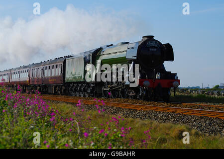 60103 Flying Scotsman locomotive, Cathedrals Express, at Valley, Anglesey, Stock Photo