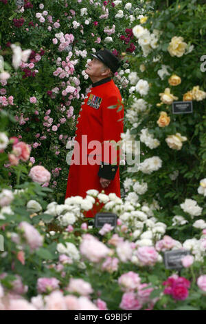 ROYAL Chelsea Stock Photo