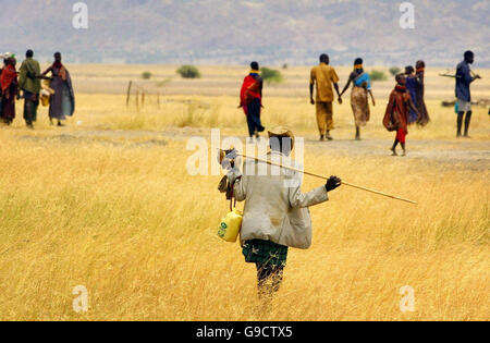 Embargoed to 0001 Monday June 19 A herdsman from the Kenyan Pastorlist tribe Takana arrives at the peace talks between his tribe and the Merile tribe from Ethiopia, one mile from the Ethiopian Border in Todonganya Kenya. Stock Photo